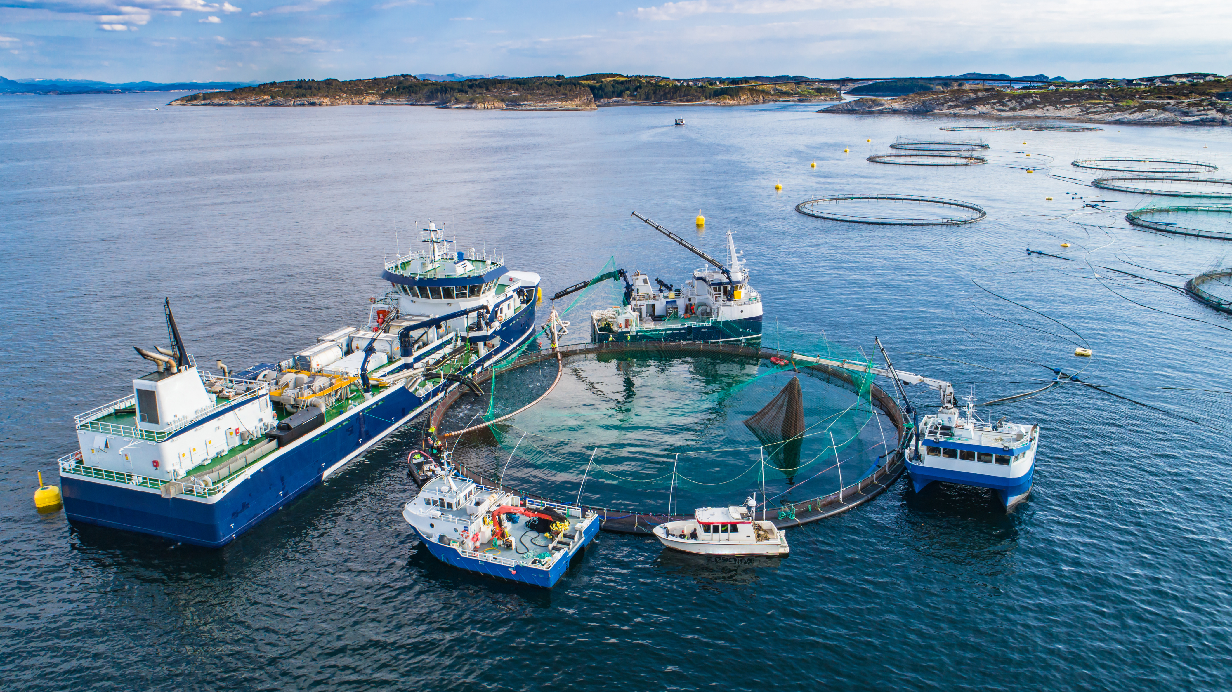 Maritime background